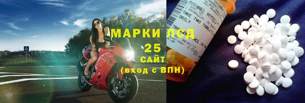 прущие грибы Инта
