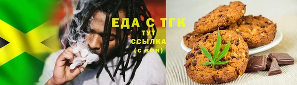 прущие грибы Инта