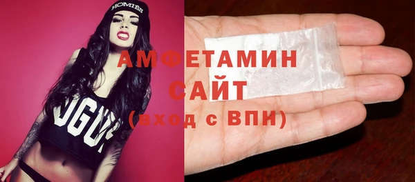 apvp Инсар