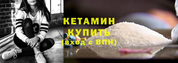 прущие грибы Инта