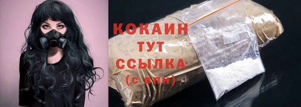 прущие грибы Инта