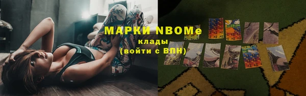 прущие грибы Инта