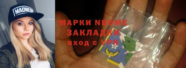 apvp Инсар