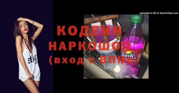 apvp Инсар