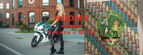 apvp Инсар