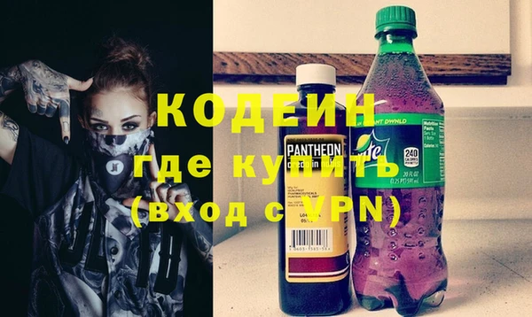 прущие грибы Инта