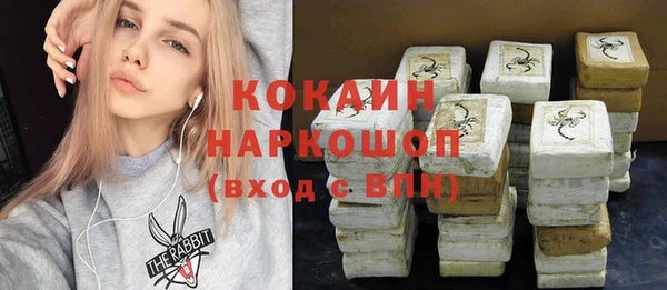 прущие грибы Инта