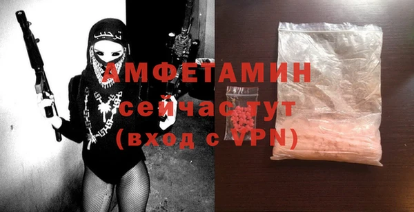 apvp Инсар