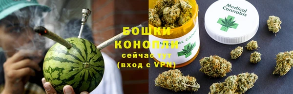 прущие грибы Инта