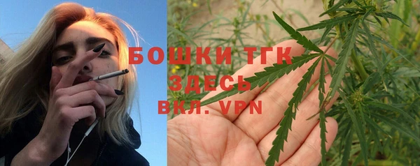 прущие грибы Инта